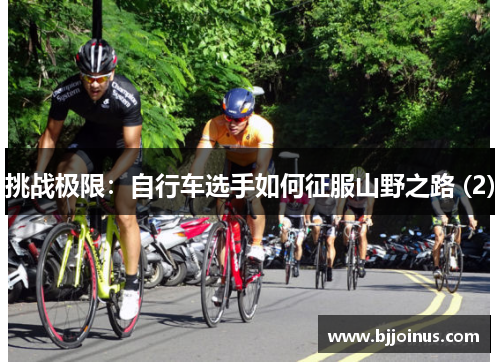 挑战极限：自行车选手如何征服山野之路 (2)